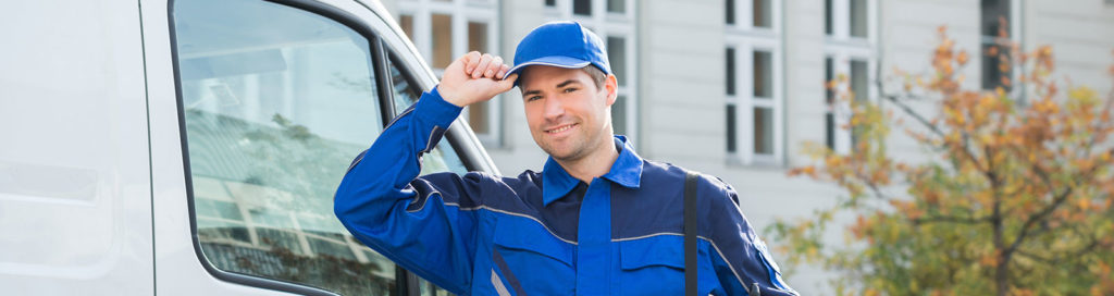 Ant control services by professionals