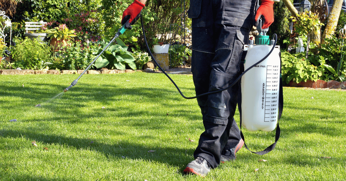 Green pest control in backyard